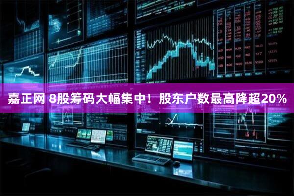 嘉正网 8股筹码大幅集中！股东户数最高降超20%