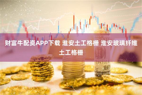 财富牛配资APP下载 淮安土工格栅 淮安玻璃纤维土工格栅